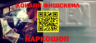 стаф Гатчина