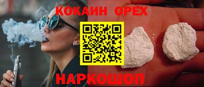 стаф Гатчина