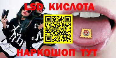 стаф Гатчина