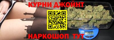 стаф Гатчина
