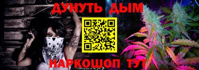 стаф Гатчина