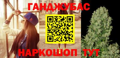 стаф Гатчина