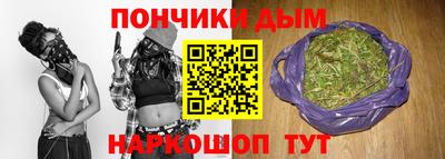 стаф Гатчина