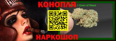 стаф Гатчина