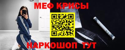 стаф Гатчина