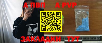 стаф Гатчина