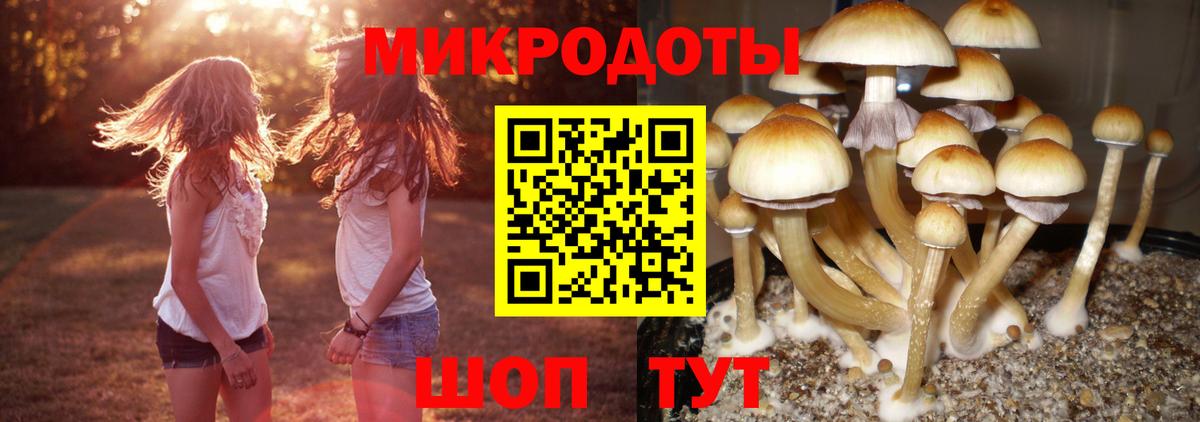 Муравленко  Галлюциногенные грибы Psilocybe  Вход с VPN 