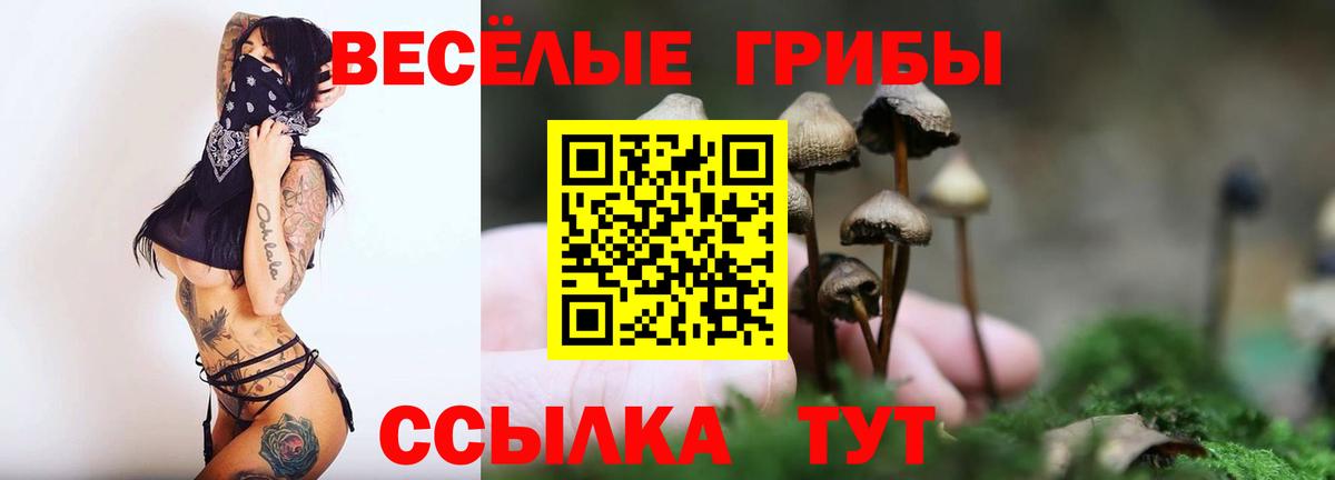Псилоцибиновые грибы Psilocybine cubensis Муравленко